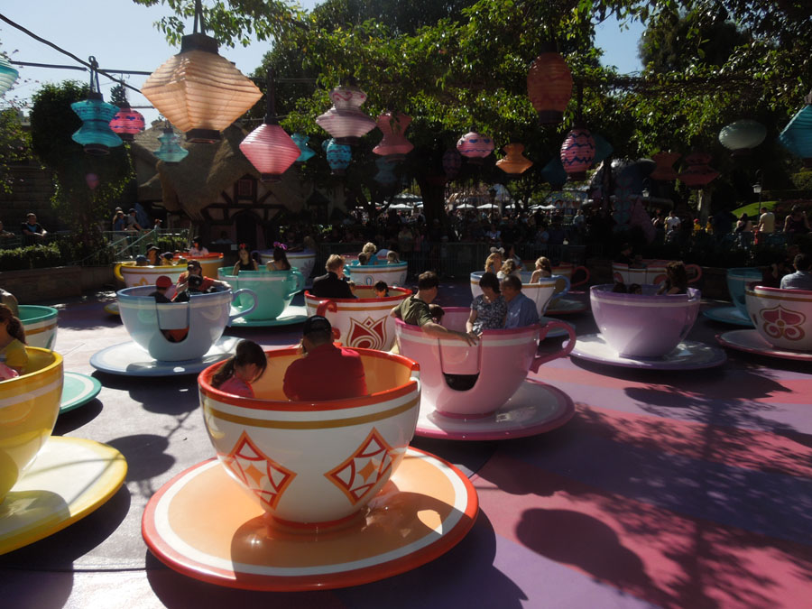 Disneyland Teacups Picture